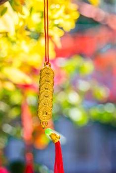 tìm hiểu về gỡ thua